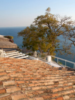 CRW_1101